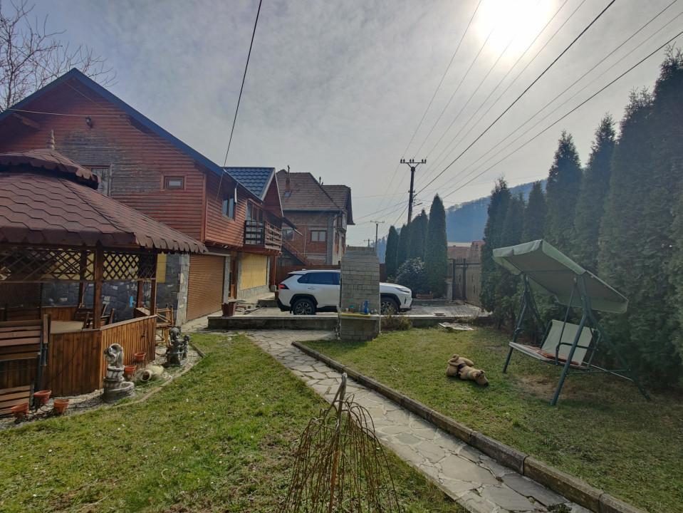 Casa/ case de vanzare in Valea Doftanei- Oportunitate afacere