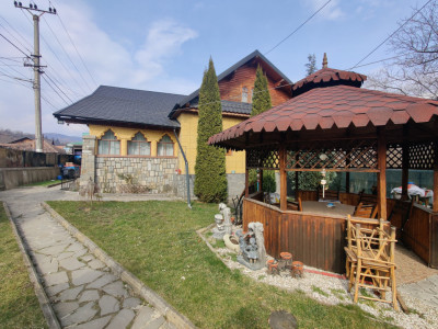 Casa/ case de vanzare in Valea Doftanei- Oportunitate afacere