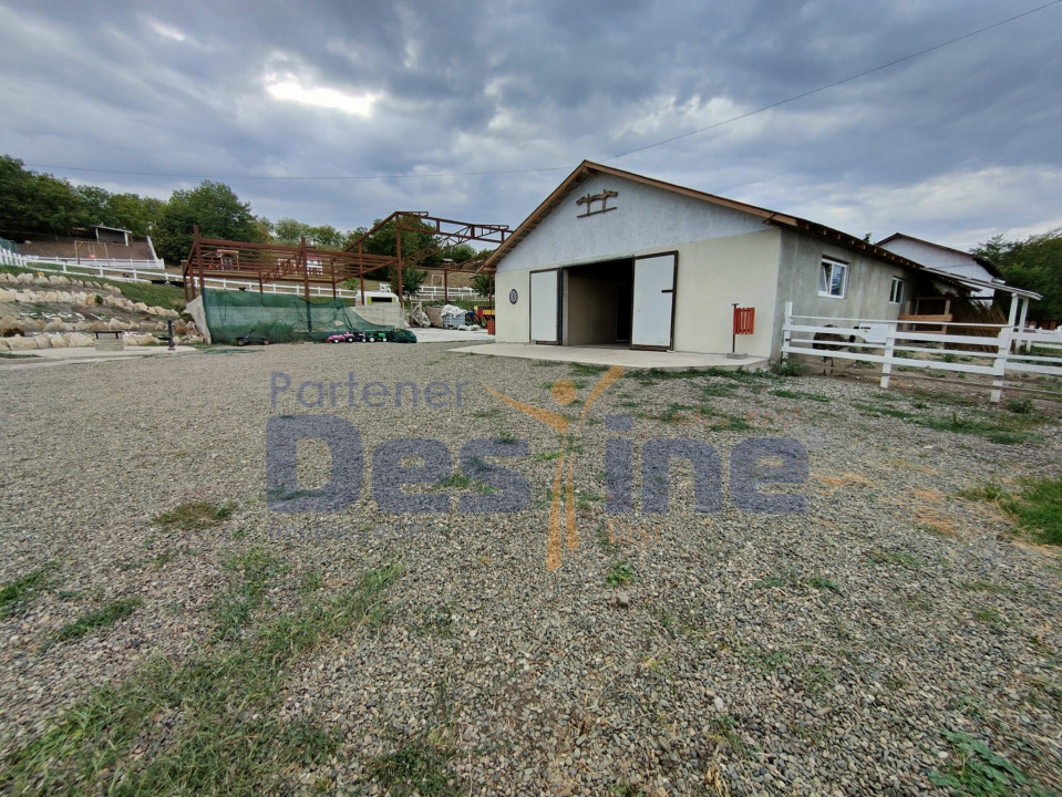 FERMĂ cu 20 ha teren, hale, utilaje agricole, animale, livadă - IAȘI