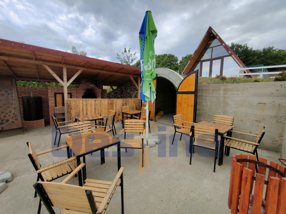 FERMĂ cu 20 ha teren, hale, utilaje agricole, animale, livadă - IAȘI
