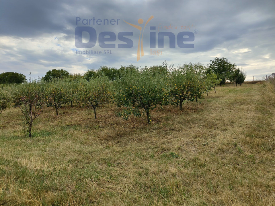 FERMĂ cu 20 ha teren, hale, utilaje agricole, animale, livadă - IAȘI