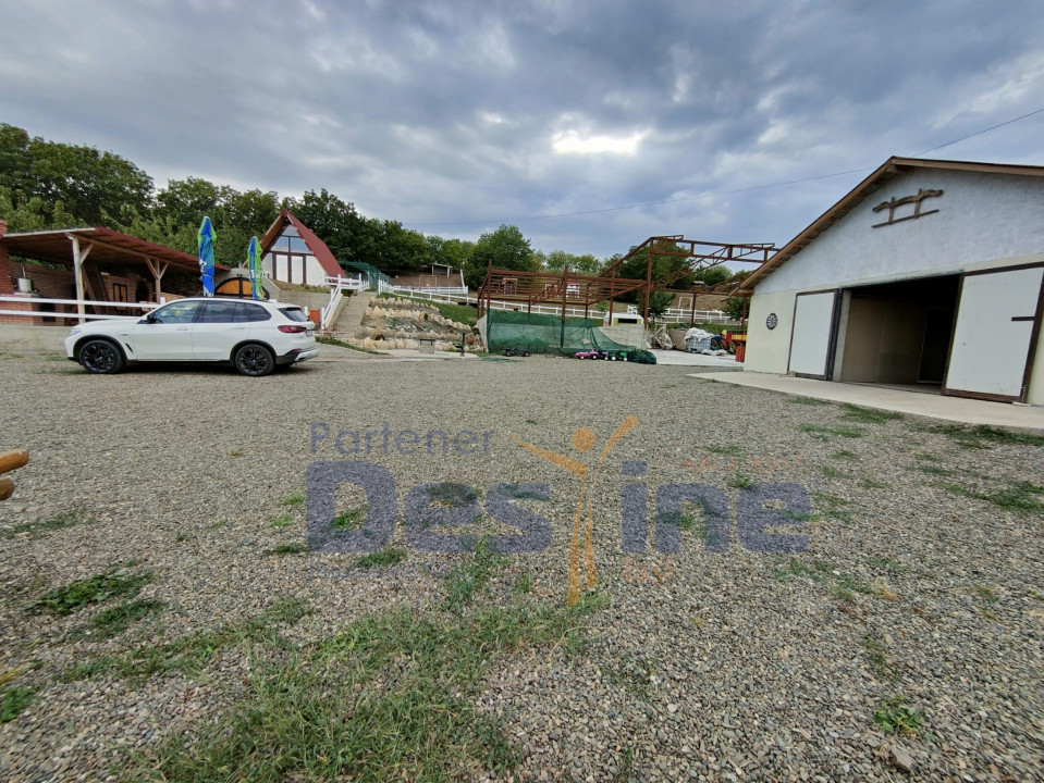 FERMĂ cu 20 ha teren, hale, utilaje agricole, animale, livadă - IAȘI