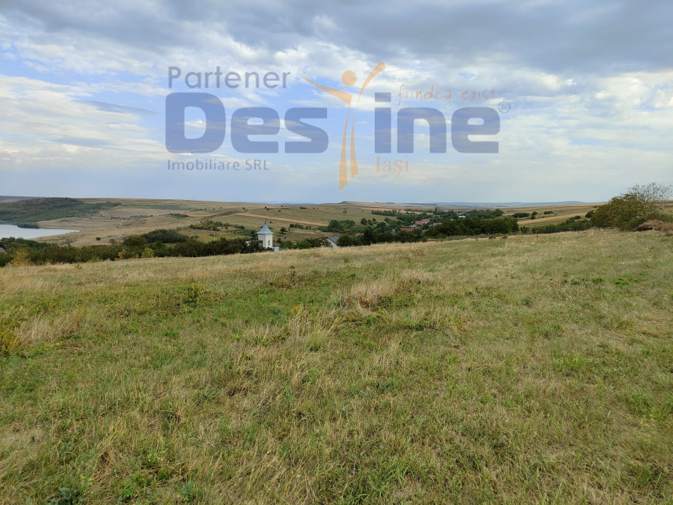 FERMĂ cu 20 ha teren, hale, utilaje agricole, animale, livadă - IAȘI