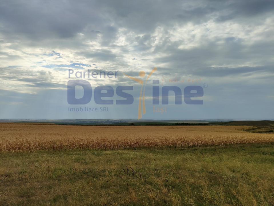 FERMĂ cu 20 ha teren, hale, utilaje agricole, animale, livadă - IAȘI