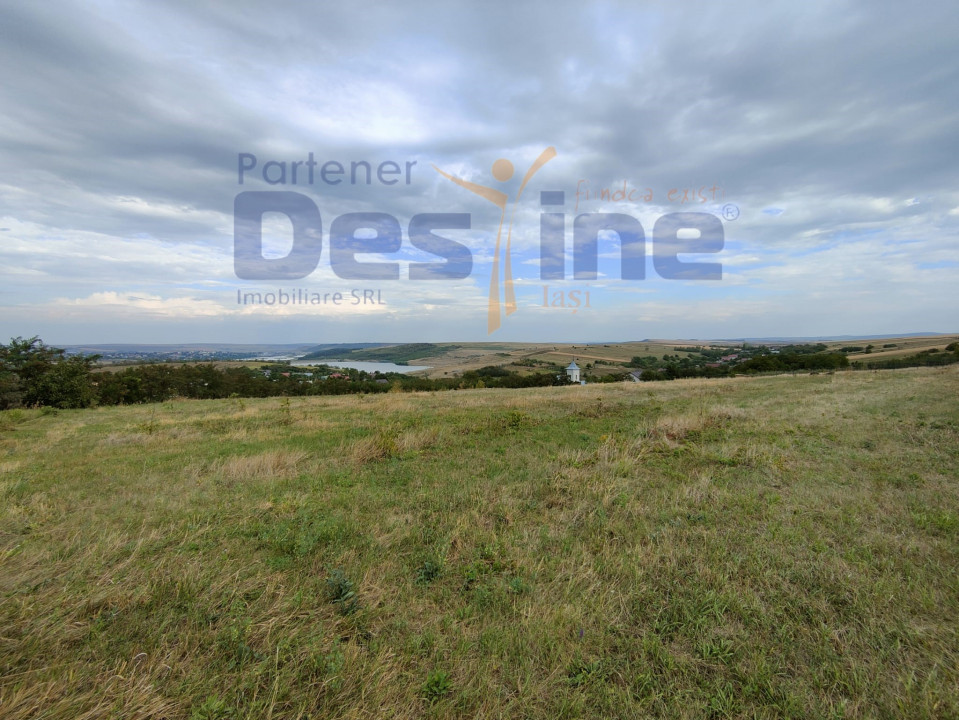 FERMĂ cu 20 ha teren, hale, utilaje agricole, animale, livadă - IAȘI