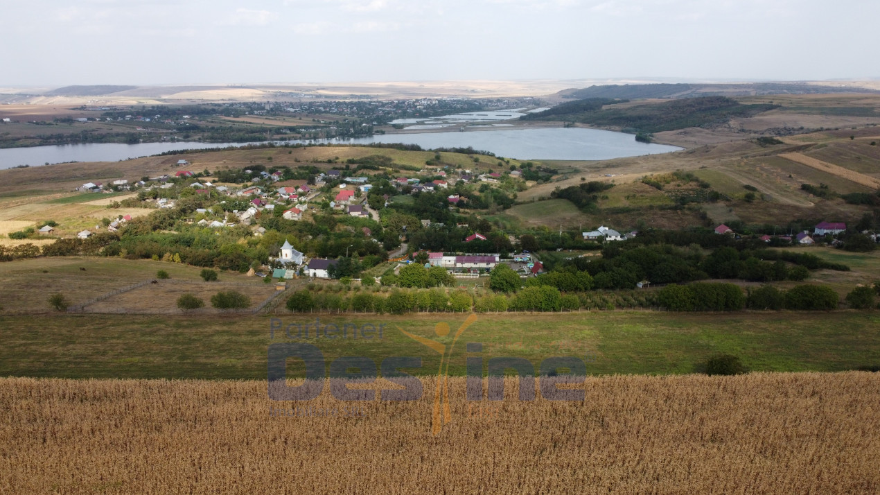 FERMĂ cu 20 ha teren, hale, utilaje agricole, animale, livadă - IAȘI