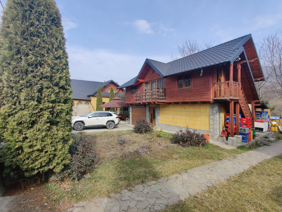 Casa/ case de vanzare in Valea Doftanei- oportunitate afacere