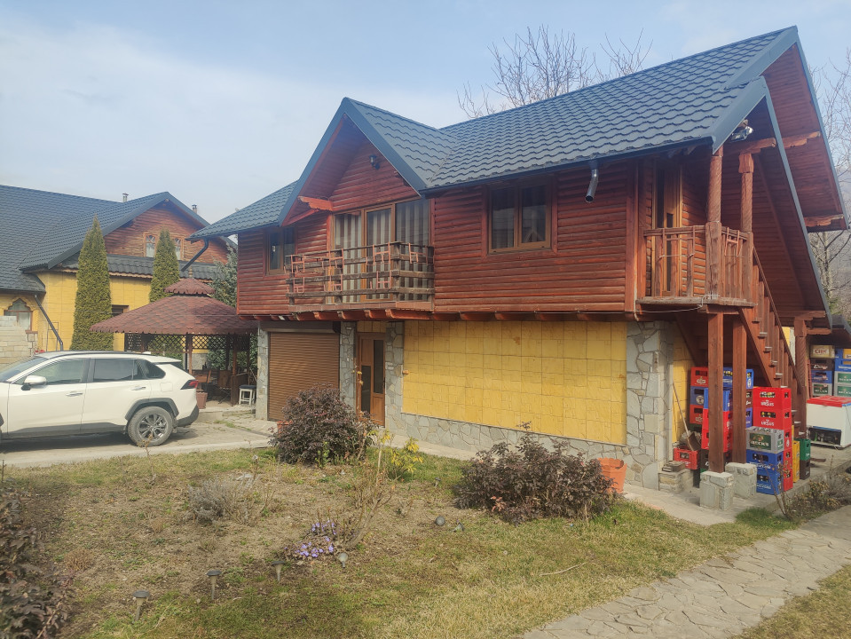 Casa/ case de vanzare in Valea Doftanei- oportunitate afacere