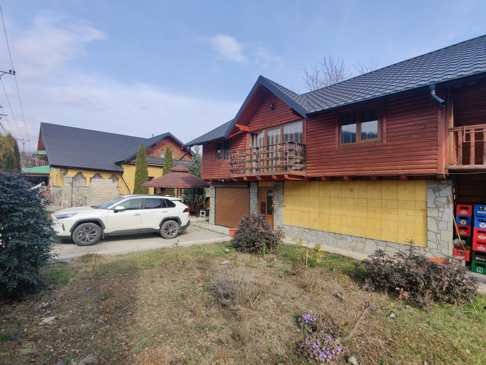 Casa/ case de vanzare in Valea Doftanei- oportunitate afacere