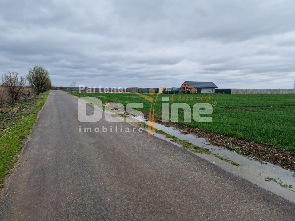 TEREN DE VANZARE DRAGOMIRESTI VALE