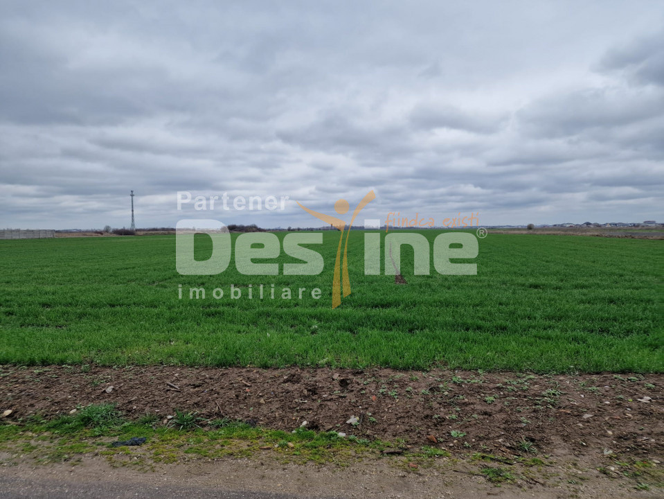 TEREN DE VANZARE DRAGOMIRESTI VALE
