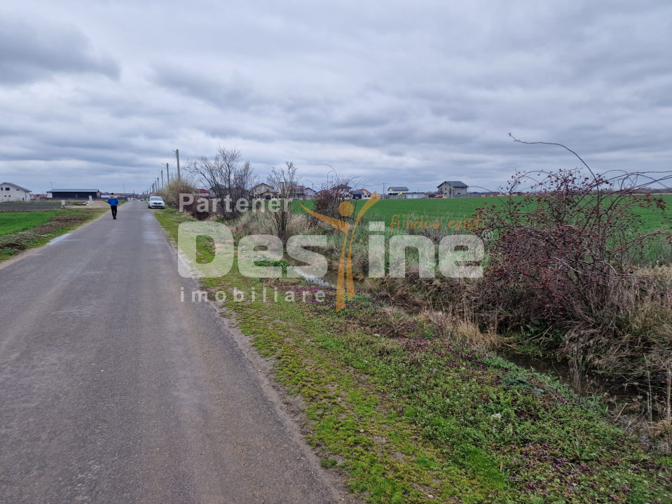 TEREN DE VANZARE DRAGOMIRESTI VALE