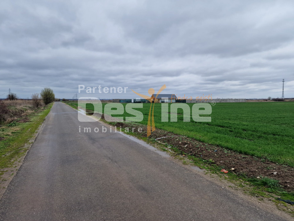 TEREN DE VANZARE DRAGOMIRESTI VALE